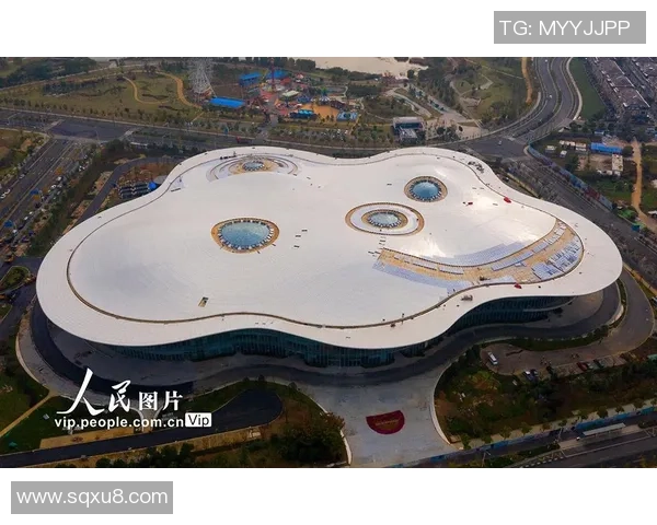 南京极限运动队速度对比深度剖析与未来发展趋势探讨