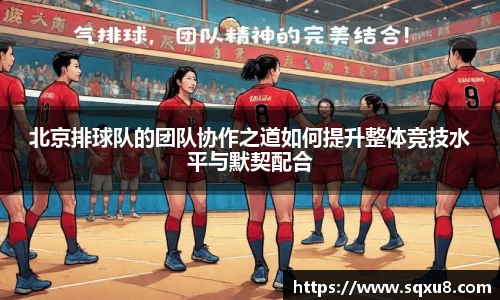 北京排球队的团队协作之道如何提升整体竞技水平与默契配合