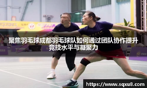 聚焦羽毛球成都羽毛球队如何通过团队协作提升竞技水平与凝聚力